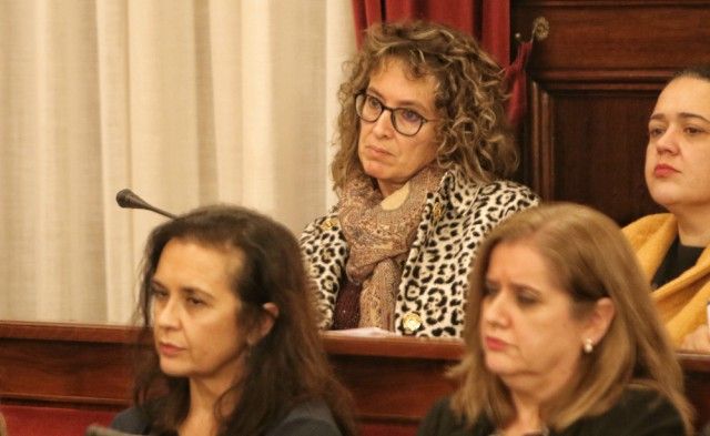 ciudadanos-censura-la-pasividad-municipal-ante-convenio-de-defensa-y